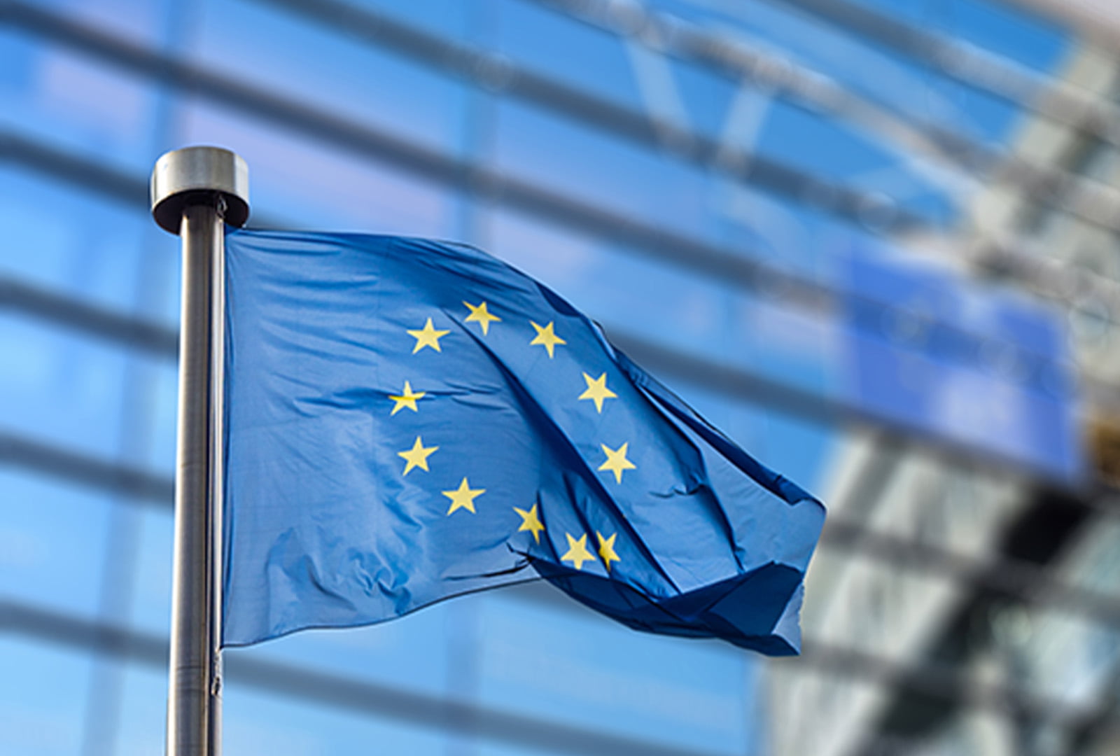 Процедура за Избор на Изпълнител